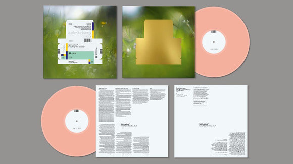 Spiritualized - Everything Was Beautiful (INDIE EXCLUSIVE PINK VINYL) - Good Records To Go