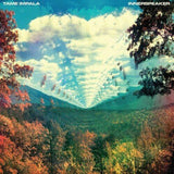 Tame Impala -  Innerspeaker (10 Year Anniversary Edition 4LP Box Set) - Good Records To Go