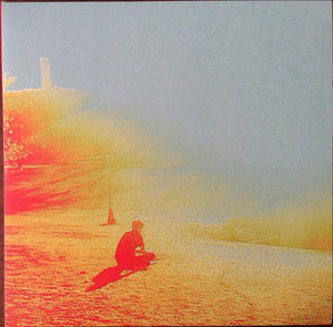 The Flaming Lips - The Terror - Good Records To Go