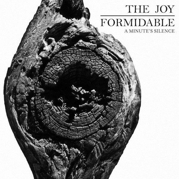 The Joy Formidable - A Minute's Silence - Good Records To Go