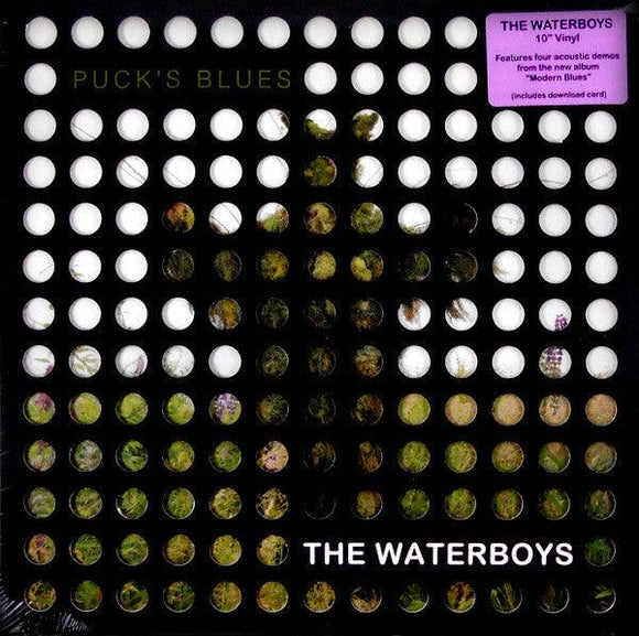 The Waterboys - Puck's Blues - Good Records To Go