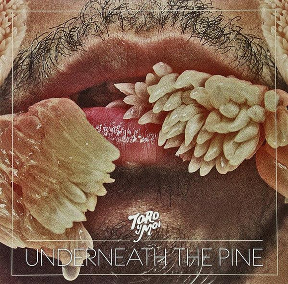 Toro Y Moi - Underneath The Pine - Good Records To Go