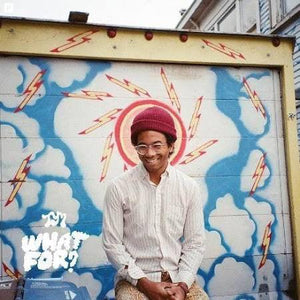 Toro Y Moi - What For? - Good Records To Go