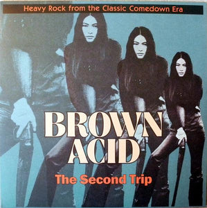 Various - Brown Acid: The Second Trip (Heavy Rock From The Classic Comedown Era) - Good Records To Go