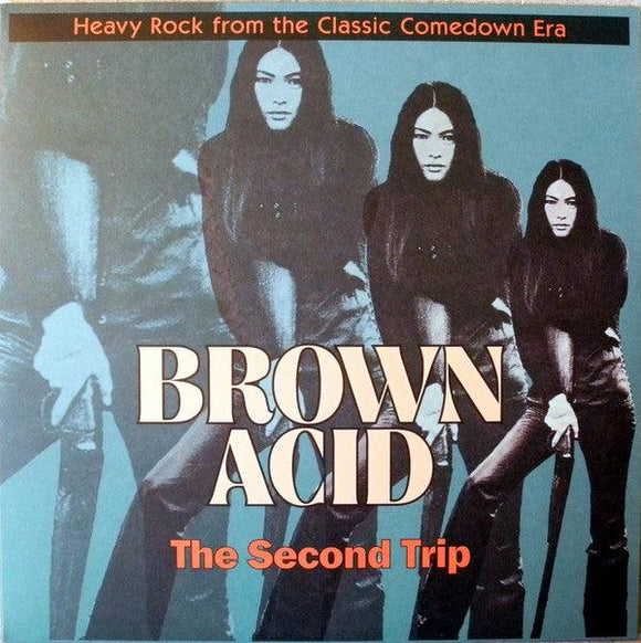 Various - Brown Acid: The Second Trip (Heavy Rock From The Classic Comedown Era) - Good Records To Go