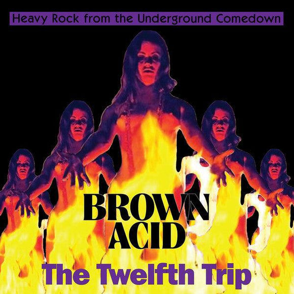 Various - Brown Acid: The Twelfth Trip (Heavy Rock From The Underground Comedown) - Good Records To Go
