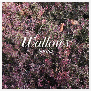 Wallows - Spring - Good Records To Go
