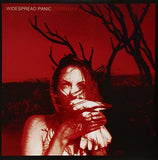 Widespread Panic - Everyday (2x LP Red/Grey Vinyl) - Good Records To Go