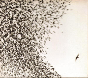Wilco - Sky Blue Sky - Good Records To Go
