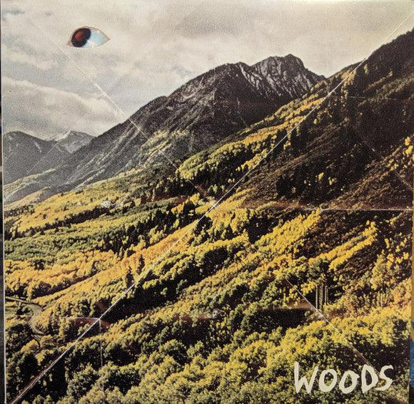 Woods - Songs Of Shame - Good Records To Go